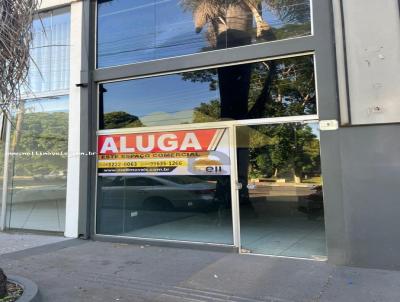imagem-miniatura