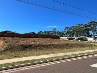 Terreno para Venda, em Presidente Prudente, bairro Vida Nova Pacaembu 1
