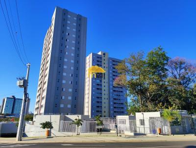 imagem-miniatura