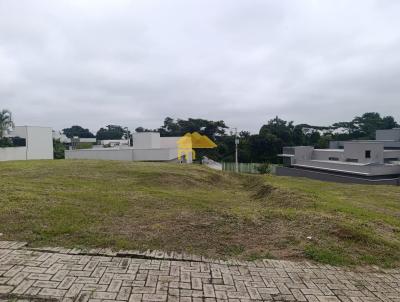 imagem-miniatura