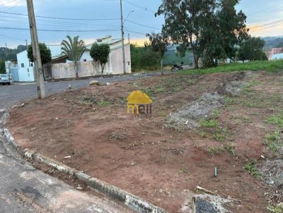 imagem-miniatura